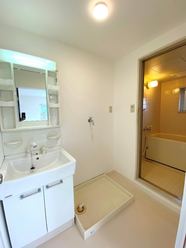 グランデール栄B棟 201号 洗面