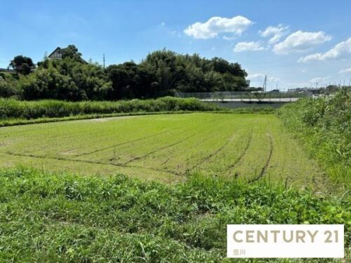 豊田市明和町7丁目 売地